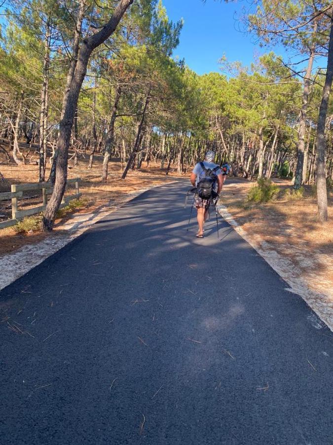 לה פורז' Chalet Du Bonheur - La Jenny Naturist Area מראה חיצוני תמונה