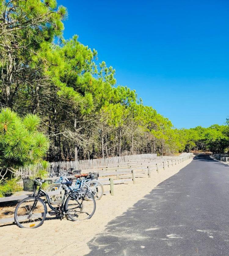 לה פורז' Chalet Du Bonheur - La Jenny Naturist Area מראה חיצוני תמונה